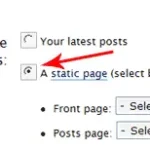 wordpress static frontpage options