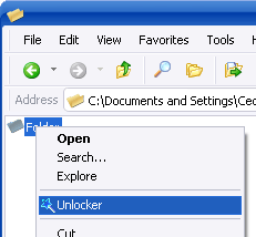 Use unlocker to delete the file or folder