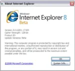 internet explorer 8