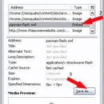 saving embedded swf files to your pc