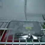 freeze the harddrive