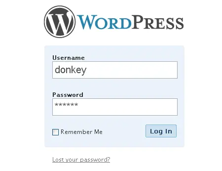 WordPress login screen: login with new admin user