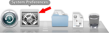 Select System Preferences