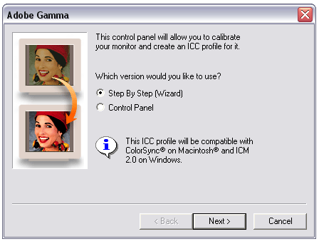 Adobe Gamma Wizard. Select Step by Step Wizard and click Next