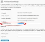 wordpress custom permalink settings