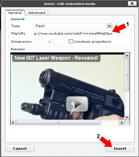 Embed YouTube WordPress