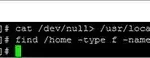 Clear cPanel Error Log