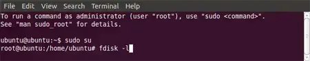 Type sudo su and then fdisk -l