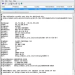 Domains IP and Hosting Info
