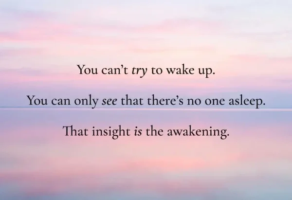 That Insight Is The Awakening Insight Is The Awakening