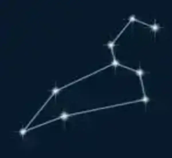 Leo Constellation Leo