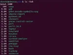List Files by Size Linux