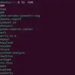 List Files by Size Linux