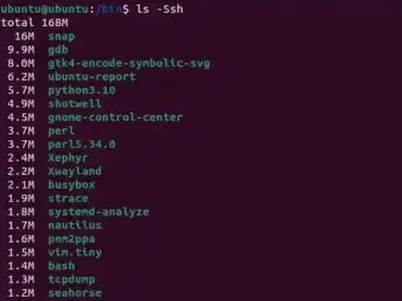 Find Large Files in Linux