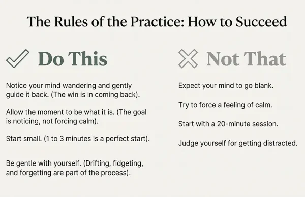 Mindfulness Habits: How To Succeed