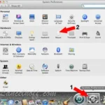 Set Mouse Scrolling Direction Lion