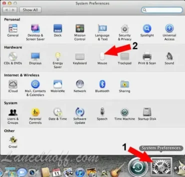 Set Mouse Scrolling Direction Lion