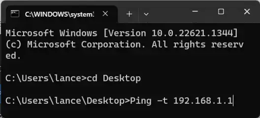 Pinging a Router