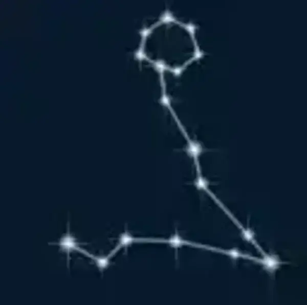 Pisces Constellation Pisces