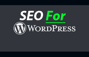 WordPress SEO - Search Engine Optimization - PageRank
