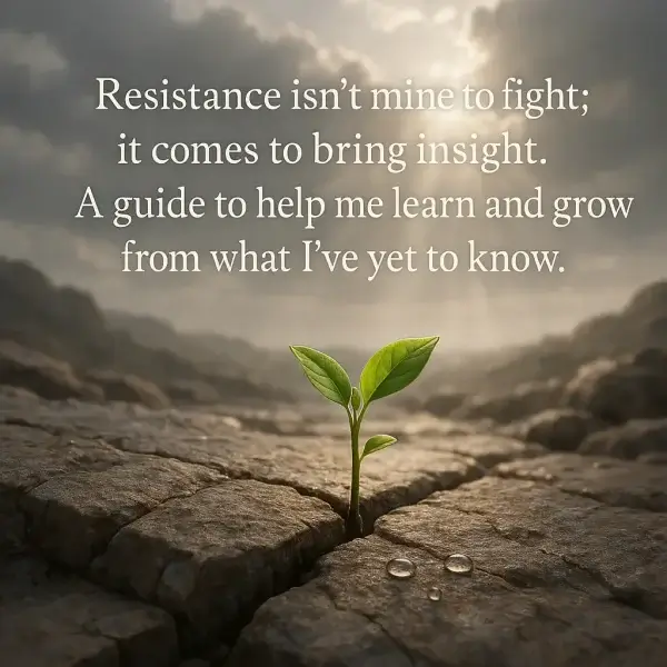 gift of resistance and insight the gift of resistance and insight (resistance isn't mine to fight)