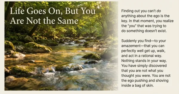 life goes on without the ego you - this you is not the same life goes on without the ego you