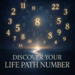 life path number calculator