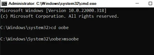 msoobe