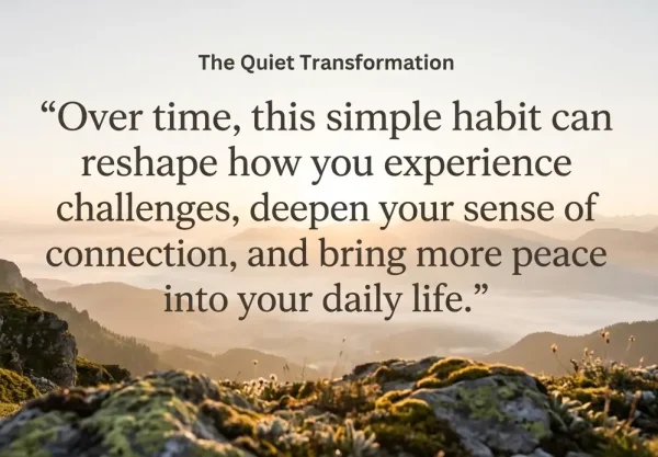 the quiet transformation of presence with gratitude quiet transformation presence with gratitude
