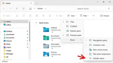 view hidden files windows