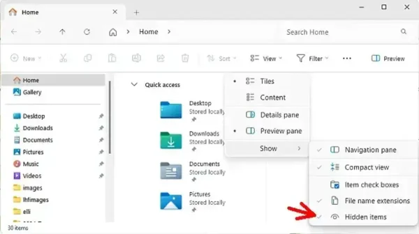 view hidden files windows