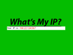 What's my IP