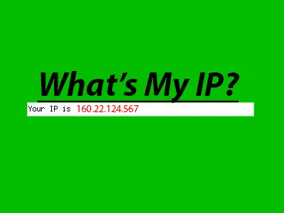 What's my IP - Show Visitors IP Address